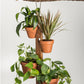 6 Pot Hanging Plant Holder - 3 piece set