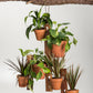 6 Pot Hanging Plant Holder - 3 piece set