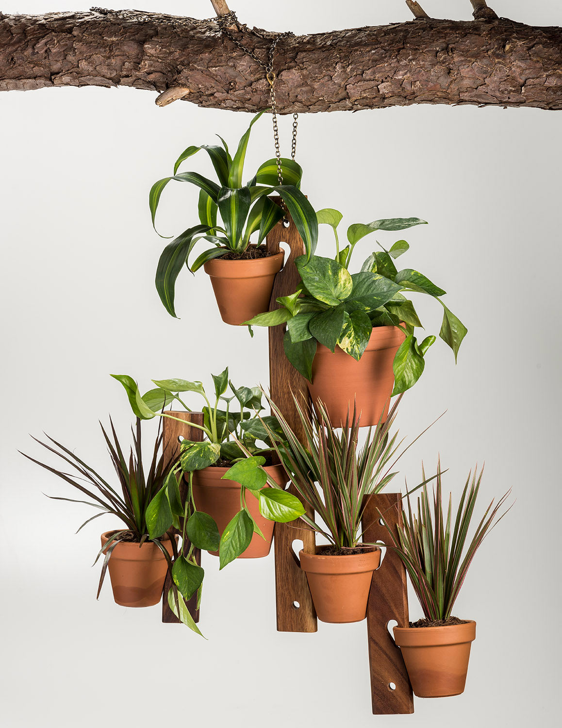 holders for hanging plants 6 Pot Hanging Plant Holder
